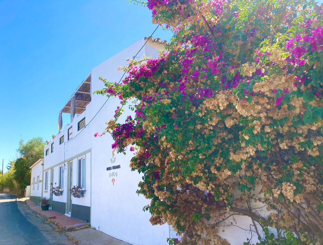 front side of the house on country road | Quinta Maragota | holiday accommodation East Algarve