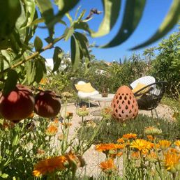Onze mediterrane tuin | Quinta Maragota Oost Algarve